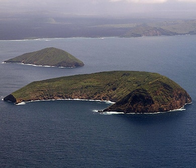 Isla Tortuga | Galàpagos