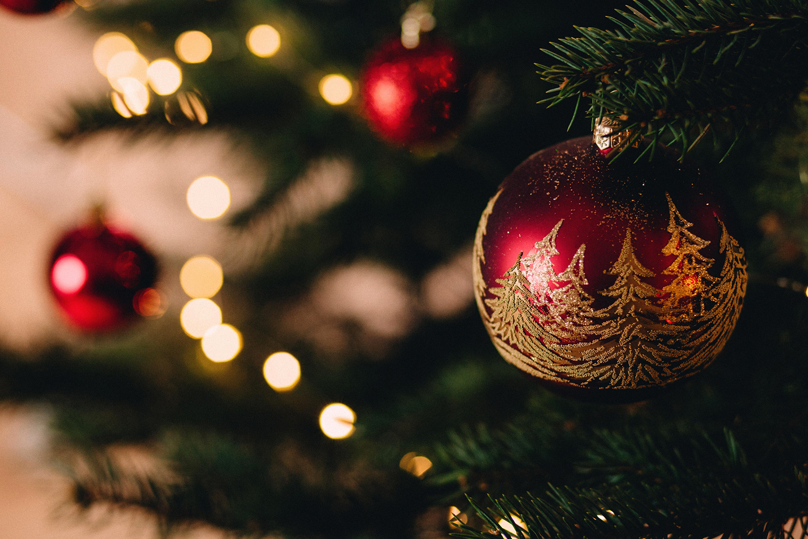 Fare l'albero di Natale: da dove nasce la tradizione e curiosità
